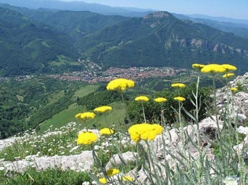 Villa Cherven Teteven Dış mekan fotoğraf