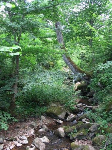Villa Cherven Teteven Dış mekan fotoğraf